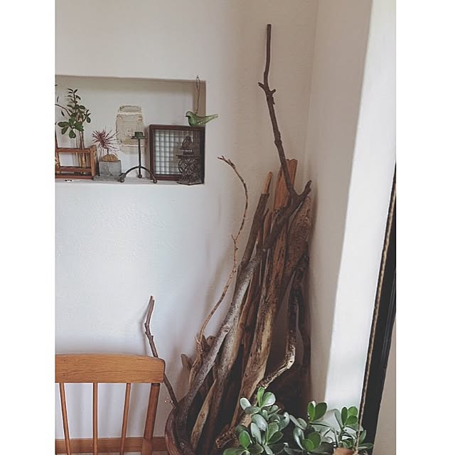 玄関 入り口 流木インテリア ニッチディスプレイ 昭和ポンコツチーム 1969組 などのインテリア実例 17 06 14 13 03 56 Roomclip ルームクリップ