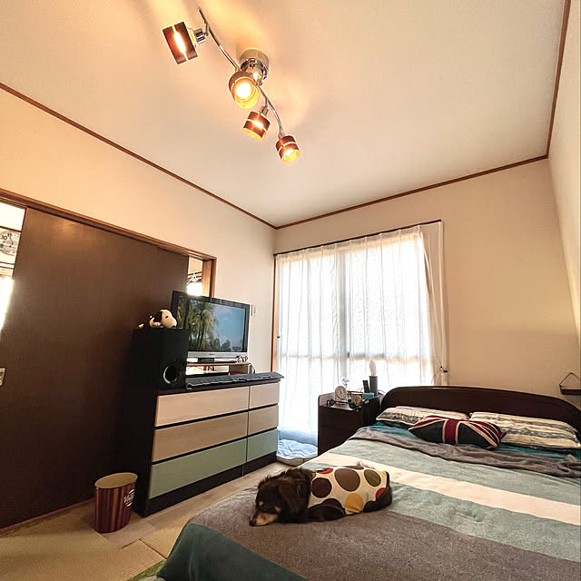 チェスト 子供部屋 青 ベビータンス ハイチェスト ローチェスト 完成品 男の子 タンス ブルー 5段 3段 おしゃれ 収納 幅80 幅1 ブラウン 日本製 国産 子供用タンス 衣類収納 大川家具 かっこいい 超激得 豊富な 本物保証 大人気なdiy 工具通販店 おもちゃ ゲーム チェスト 子供部屋 青 ベビータンス ハイチェスト ローチェスト 完成品 男の子 タンス ブルー 5段 3段 おしゃれ 収納 幅80 幅1 ブラウン 日本製 国産 子供用タンス 衣類収納 大川家具 かっこいい 超激得 豊富な 本物保証 大人気なdiy 工具通販店 おもちゃ ゲーム