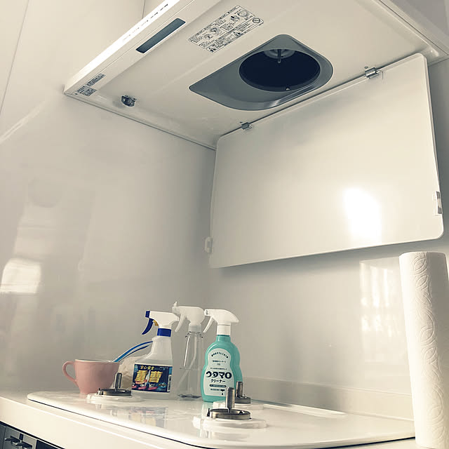 大日本除蟲菊 虫コナーズ リキッドタイプ ロング 180日用 無香性 400mlのレビュー 口コミとして参考になる投稿6枚 Roomclip ルームクリップ