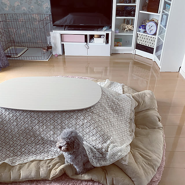 3 18限定 8 Offクーポン配布中 折りたたみ こたつ テーブル 90 50cm 楕円形 Ellipse エリプス こたつ おしゃれ 丸 丸型 丸形 楕円形 円型 折れ脚 こたつテーブル 白 ホワイト ナチュラル ダークブラウン オーバル コタツ 炬燵 北欧 おしゃれ かわいい 一人暮らしの