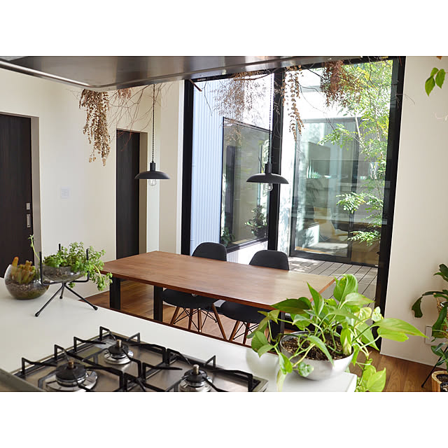 写真付きレビュー ポットスタンドフォーク25l フラワースタンド 鉢台 鉢スタンド おしゃれ アイアン 植木鉢スタンド の通販商品 口コミ情報 Roomclipショッピング