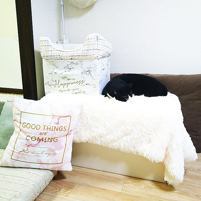 Enipte Enipate 毛布 ブランケット ひざ掛け 夏布団 掛け毛布 マルチブランケット 毛足の長いシャギー ソファカバー 洗濯機で洗える おしゃれ カーペットのレビュー 口コミとして参考になる投稿3枚