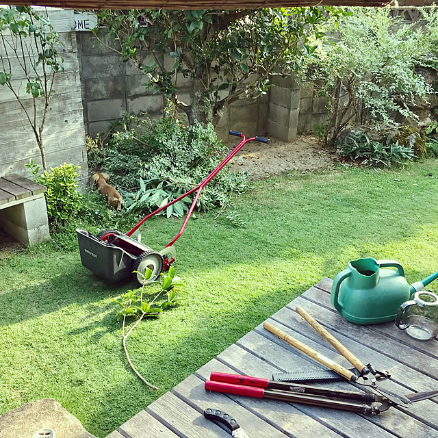 共栄社 バロネス 手動式芝刈り機 Lm4d プロ用刃物を搭載した家庭用芝刈機 ゴルフ場 サッカースタジアムトップシェアのバロネス 研磨機能付 耐摩耗合金鋼6枚刃リール式モア 刈幅30cm 手押し式 日本製 Baronessのレビュー 口コミとして参考になる投稿9枚 Roomclip