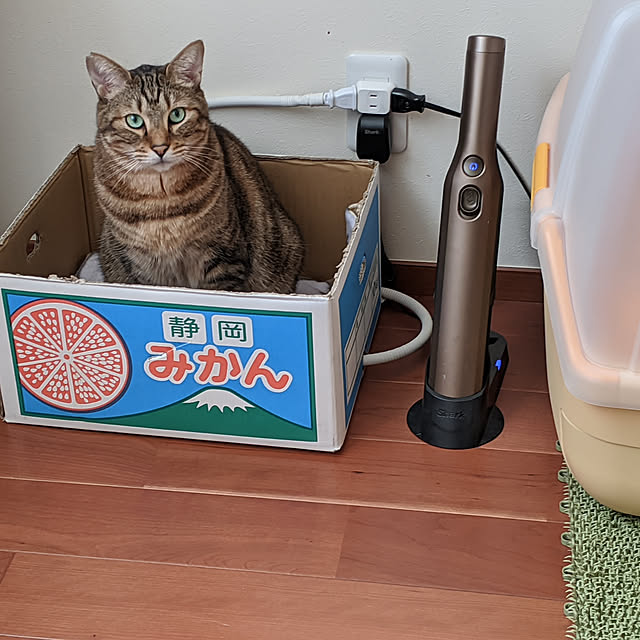 アウトレット シャーク ハンディクリーナー Shark Evopower エヴォパワー Wv251j バッテリー2個 ブロンズのレビュー クチコミとして参考になる投稿1枚 Roomclip ルームクリップ