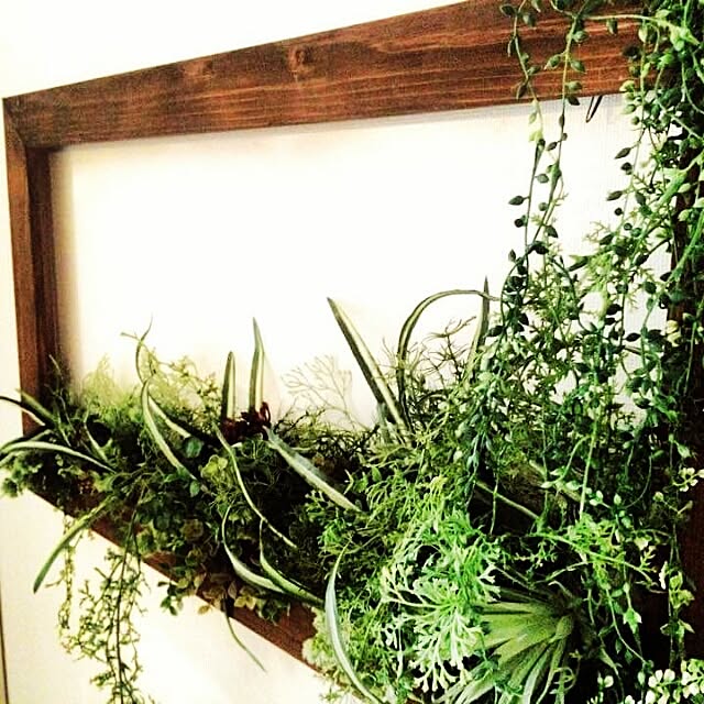 壁 天井 ダイソー 造花 ウォールグリーン 額縁 などのインテリア実例 17 02 14 13 40 47 Roomclip ルームクリップ