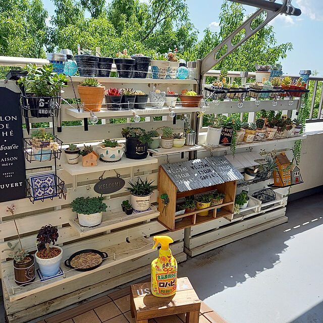 写真付きレビュー】プロトリーフ 培養土 室内向け観葉・多肉の土 7号鉢用の通販商品口コミ情報 | RoomClipショッピング