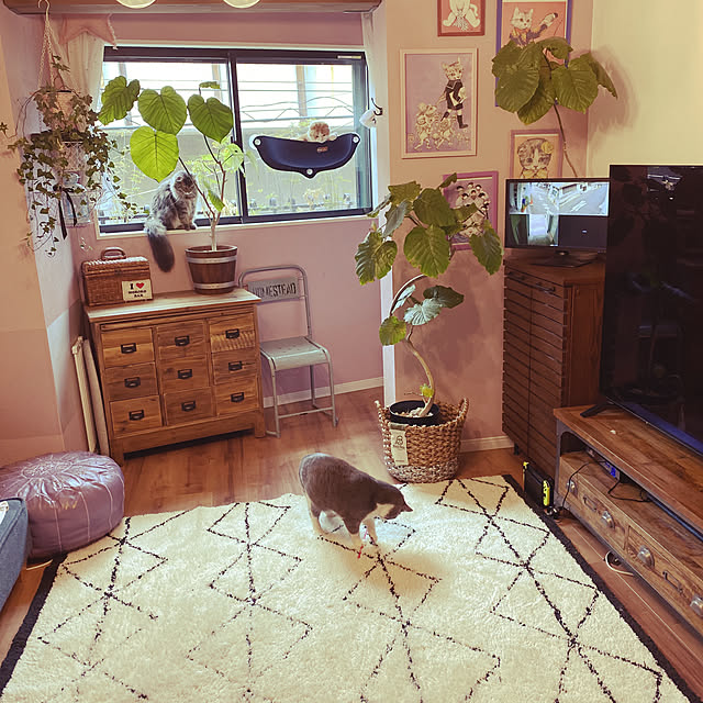 プフ 刺繍タイプ モロッコ製 本革 クッション スツール オットマン 椅子 レザー チェア オットマンプフ モロッコ雑貨 インテリアのレビュー クチコミとして参考になる投稿15枚 Roomclip ルームクリップ