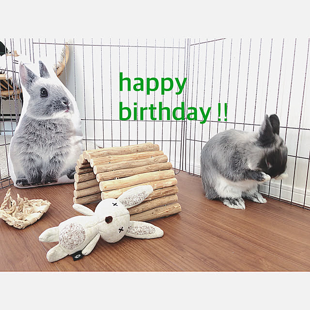 モチモチクッション キキ ビッグとキキクッションカバーとラビットクッション 期間限定60 Off