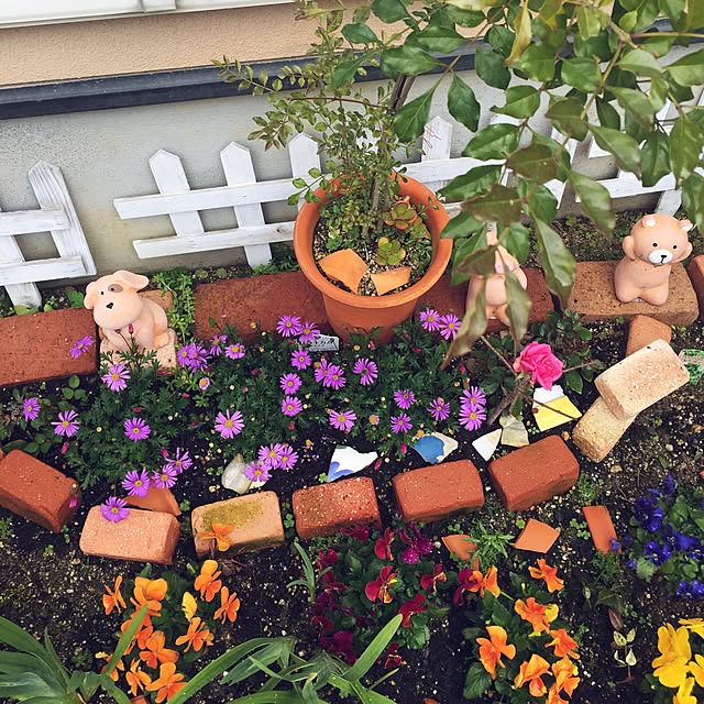 ブラキカム ブラスコ 花苗 風にそよぐ大輪の花が魅力 暑さ寒さに強い最新品種 花芽付 販売 通販 種類のレビュー クチコミとして参考になる投稿1枚 Roomclip ルームクリップ