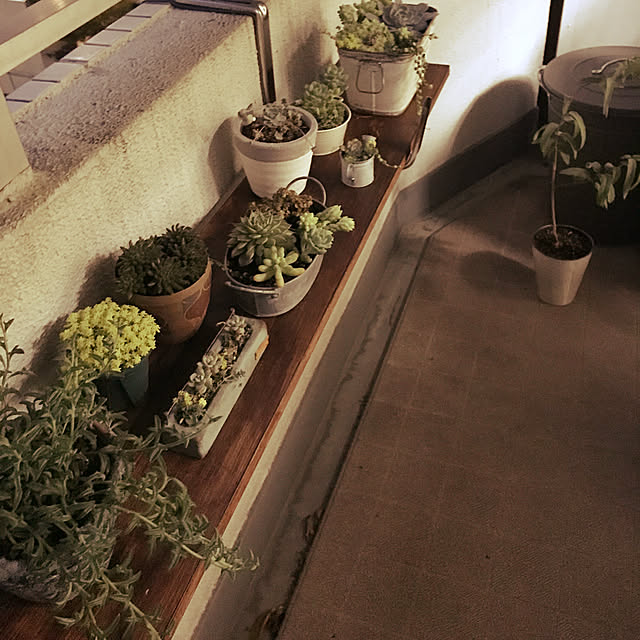 ポイント最大16倍 プランターハンガー 650型プランター用 ワイド型 ステンレス製 保護クッション付き 日本製 園芸 ガーデニング用品 送料無料のレビュー クチコミとして参考になる投稿1枚