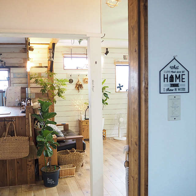 写真付きレビュー アルテシーマ 3dカーブ 曲がり 白色 セラアート鉢 8号 バークチップ 受皿 育て方 観葉 観葉植物 送料無料 斑入り 斑 バリエガータ 葉模様 ゴムノキ ゴムの木 ゴム 3大人気フィカス 鉢植え 鉢 大型 白 ホワイト 丸 ラウンドの通販商品 口コミ