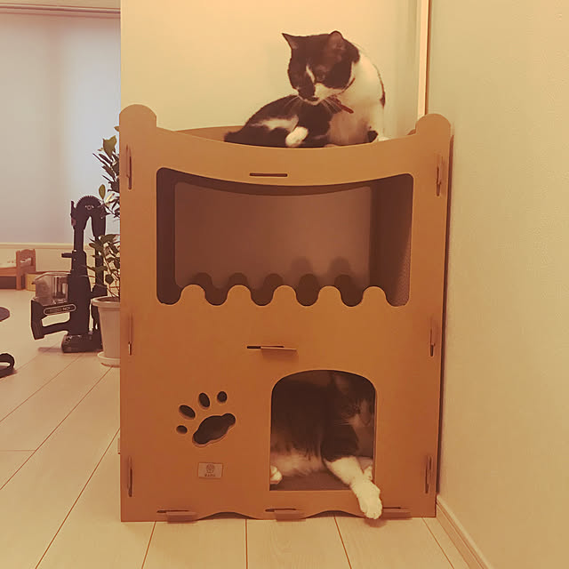 マラソン限定価格+P5倍】RAKU 猫用爪とぎ キャットハウス キャット 