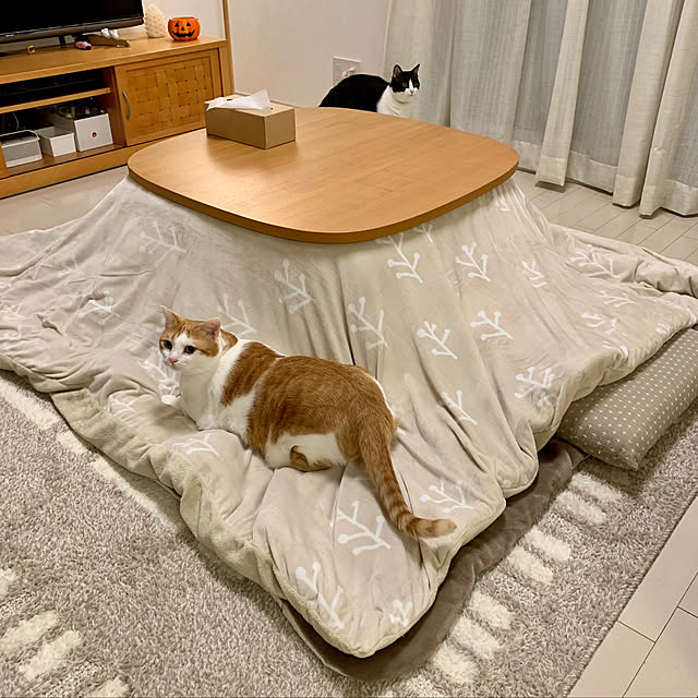 写真付きレビュー】無印良品 正方形こたつ・本体・タモ材丸脚 ...