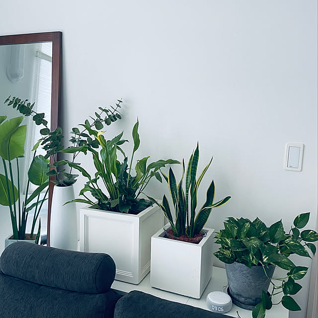 写真付きレビュー サンブルーム 軽いので移動ラクラク 植木鉢 フィリオ グレー シルバー 32cm ファイバークレイ アンティーク テラコッタ風 おしゃれ 園芸 ガーデニング プランターの通販商品 口コミ情報 Roomclipショッピング