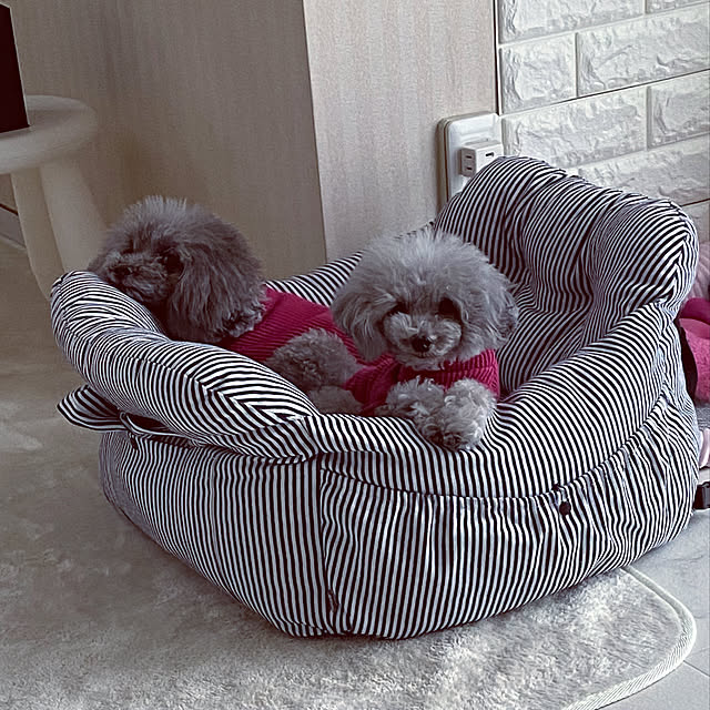 犬 小型犬 犬用 ベッド キャリー 7kg 防災 キャリーケース 通院 アウトドア ドライブ用品 通年 カー用品 キャリーバッグ 返品不可 300円offクーポン対象 ドライブベッドキャリーのレビュー クチコミとして参考になる投稿4枚