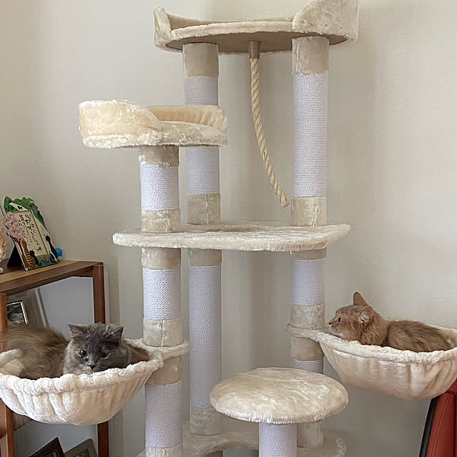 キャットタワー SLIMOA 猫タワー 猫 キャット タワー猫用品 据え置き 