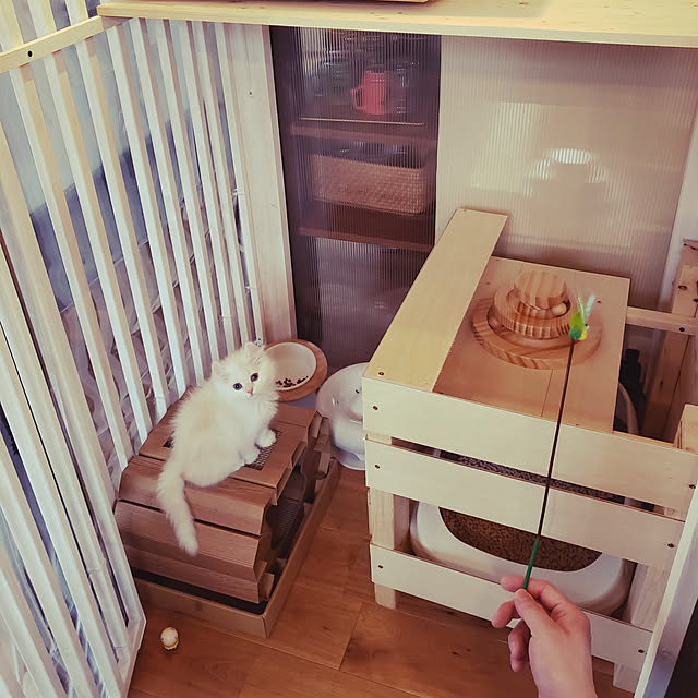 Umoraキャットタワー 木製 吊り橋 猫ベッド 遊び場 ハンモック ストレス解消 運動不足解消 組み立て簡単（120cm） | Umoraキャットタワー 木製 吊り橋 猫ベッド 遊び場