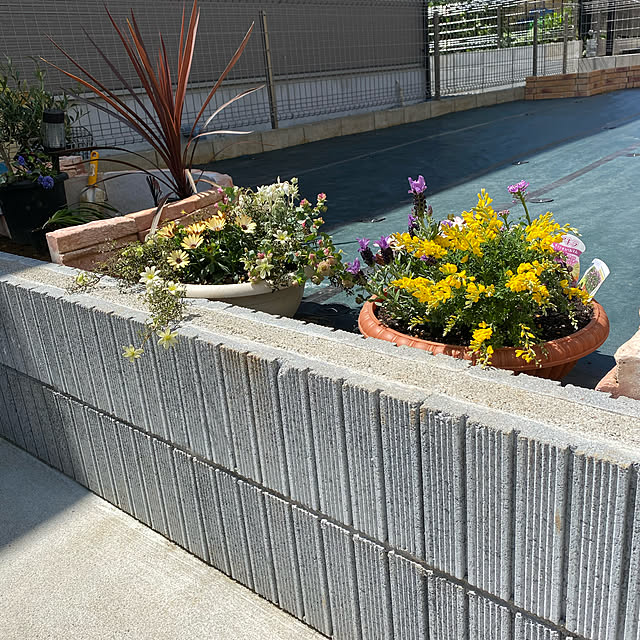 送料無料 タカショー 池の防水シート プールライナー Pl 4 4m 5m 庭造り 人工池 池 Diy 池用シート 瀧商店 Zmc1 のレビュー クチコミとして参考になる投稿3枚 送料無料 タカショー 池の防水シート プールライナー Pl 4 4m 5m 庭造り 人工池 池 Diy 池用シート 瀧商店 Zmc1 のレビュー クチコミとして参考になる投稿3枚