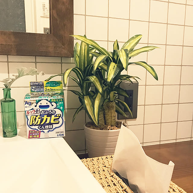 Lion ライオン ルック おふろの防カビ くん煙剤 消臭ミントの香り 5g お風呂用洗剤 Rb Pcp のレビュー クチコミとして参考になる投稿9枚