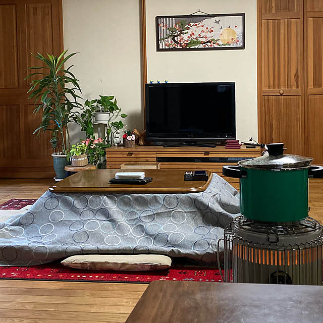 高品質の人気 トヨトミ 対流型 石油ストーブ KS-67H B ブラック 日本製 24畳 17畳 fucoa.cl 高品質の人気 トヨトミ 対流型 石油ストーブ KS-67H B ブラック 日本製 24畳 17畳 fucoa.cl