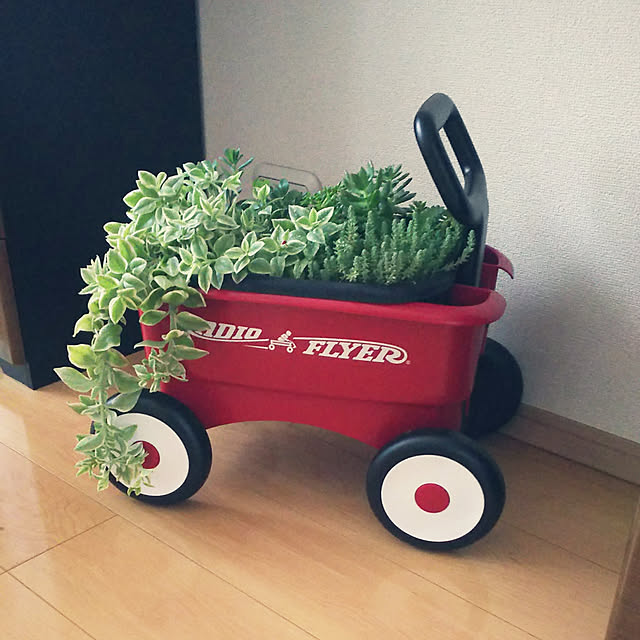 ラジオフライヤー マイ ファースト 2 In 1 ワゴン 手押し車 カタカタ 1歳 Radio Flyerのレビュー クチコミとして参考になる投稿1枚