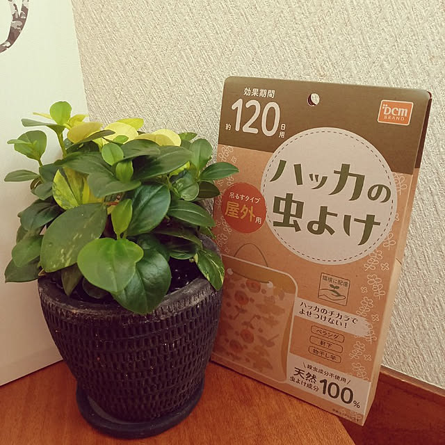 ウエ ルコ 紙でつくったハッカの虫よけ 屋外用 100gのレビュー クチコミとして参考になる投稿1枚 Roomclip ルームクリップ ウエ ルコ 紙でつくったハッカの虫よけ 屋外用 100gのレビュー クチコミとして参考になる投稿1枚 Roomclip ルームクリップ