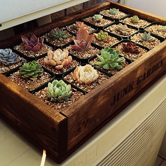 棚/多肉植物/手作り/DIY/ステンシル&hellip;などのインテリア実例 20140315 224924 ｜ RoomClip（ルームクリップ）
