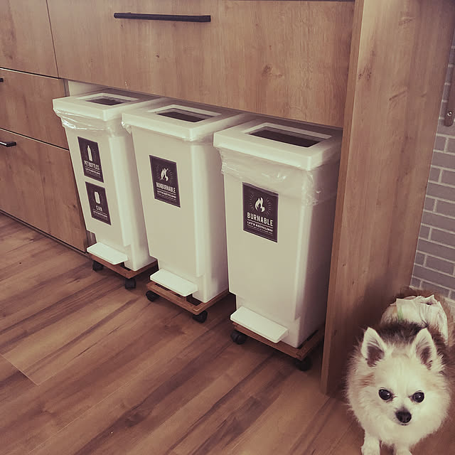 ゴミ箱 30l ペダル ユニード プッシュ ペダル 30s ごみ箱 ふた付き 30リットル 分別 キッチン ダストボックス フタ付き 30l スリム 2way ペダルペール 縦型 角型 分別ゴミ箱 蓋付き おしゃれ のレビュー クチコミとして参考になる投稿4枚 Roomclip Item ゴミ箱 30l ペダル ユニード プッシュ ペダル 30s ごみ箱 ふた付き 30リットル 分別 キッチン ダストボックス フタ付き 30l スリム 2way ペダルペール 縦型 角型 分別ゴミ箱 蓋付き おしゃれ のレビュー クチコミとして参考になる投稿4枚 Roomclip Item