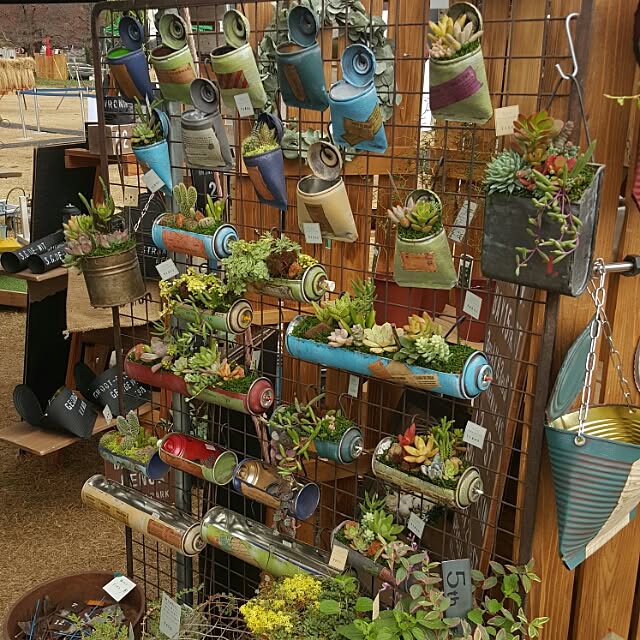 部屋全体/多肉植物/ガーデニング/リメ缶/ハンドメイド...などのインテリア実例 - 2016-04-11 19:25:44