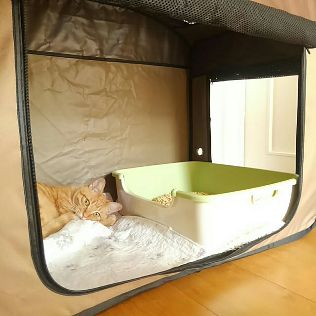 ペット用品 犬 ゲージ ペット ケージ 持ち運び おしゃれ 猫 車中 折りたたみソフトケージ Lサイズ Posc 800a アイリスオーヤマのレビュー クチコミとして参考になる投稿3枚 Roomclip Item