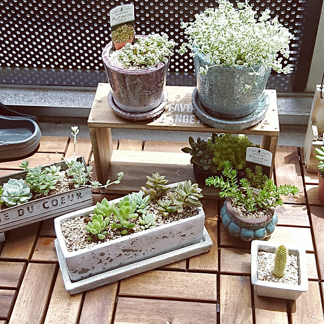 写真付きレビュー】SOLID PLANTER RECTANGLE L PLAIN ダルトン プランター 長方形 おしゃれ コンクリート 鉢 植木鉢の通販商品口コミ情報 | RoomClipショッピング 写真付きレビュー】SOLID PLANTER RECTANGLE L PLAIN ダルトン プランター 長方形 おしゃれ コンクリート 鉢 植木鉢の通販商品口コミ情報 | RoomClipショッピング