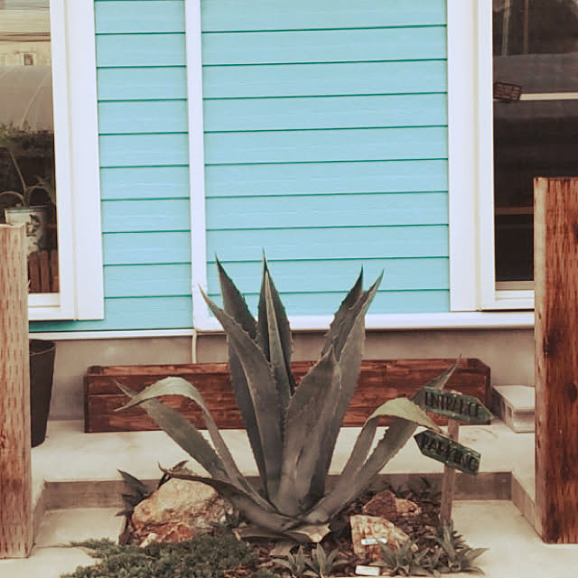 枕木 家庭菜園 木の花壇 木のプランターdiy アガベ などのインテリア実例 21 05 02 19 02 22 Roomclip ルームクリップ