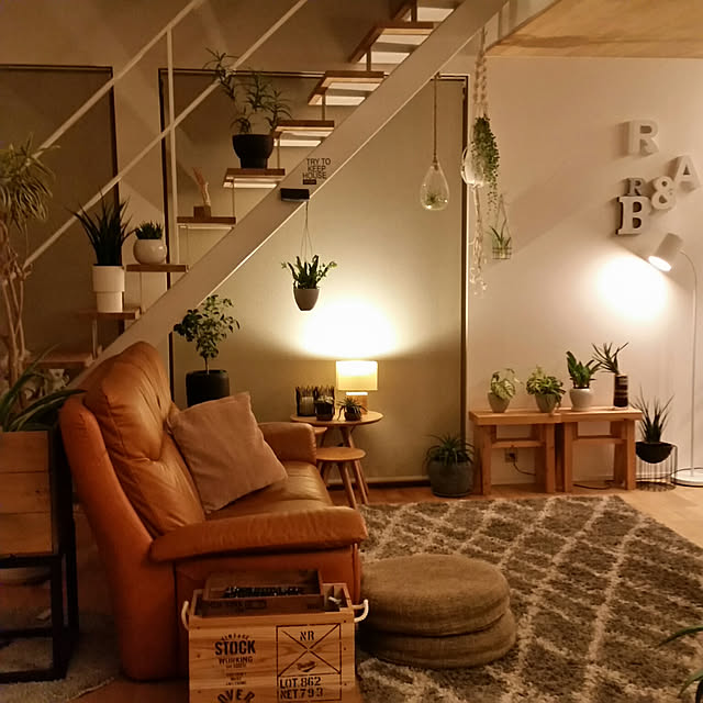 サンセベリア ファーンウッド ミカド 3号 サンスベリア 品薄 人気観葉植物 のレビュー クチコミとして参考になる投稿35枚 Roomclip ルームクリップ