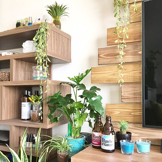 いなざうるす屋 フェイクグリーン 垂れる葉っぱ Lサイズ いなざうるす グリーン 緑 葉 葉っぱ フェイク ガーランド 人工観葉植物 壁掛け ミニ 造花 観葉植物 おしゃれ かわいい おすすめ 北欧 ナチュラル 雑貨 壁 飾り ブルックリン 西海岸 塩系 テレワーク 在宅 の