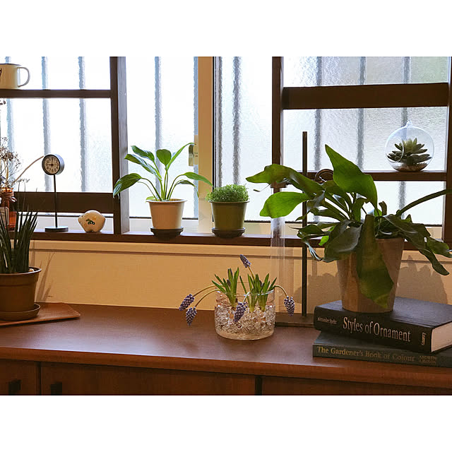 バランスチューブ シングルベース Covent Garden コベントガーデン スチール ガラス フラワーベース 花瓶 木 花 フラワー Ki 92のレビュー クチコミとして参考になる投稿10枚