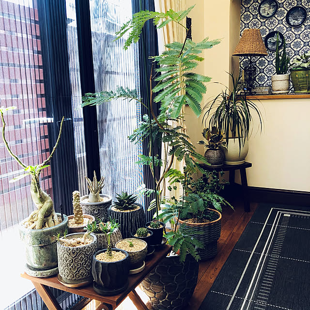 Ikea イケア Stenbar 鉢カバー 24cm グレー Dのレビュー クチコミとして参考になる投稿枚 Roomclip ルームクリップ