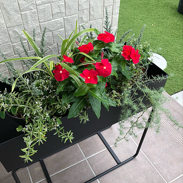 写真付きレビュー 最大300円offクーポン 8 1まで ガーデンラック プランターラック プランタースタンド おしゃれ 長方形 アイアン プランター 屋外 室内 フラワーラック フラワースタンド プランター台 花台 フラワー スタンド プランターボックス 庭 マルチラック