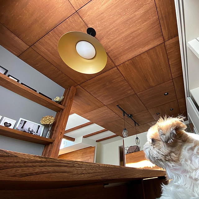 写真付きレビュー 照明 おしゃれパナソニック Panasonic 大型ペンダントライトlgble1 電球色外面黒鉄色 内面真ちゅう古味色 引掛シーリング方式 一灯でダイニングテーブルをしっかり明るく 100形電球1灯器具相当 の通販商品 口コミ情報 Roomclipショッピング 写真付きレビュー 照明 おしゃれパナソニック Panasonic 大型ペンダントライトlgble1 電球色外面黒鉄色 内面真ちゅう古味色 引掛シーリング方式 一灯でダイニングテーブルをしっかり明るく 100形電球1灯器具相当 の通販商品 口コミ情報 Roomclipショッピング