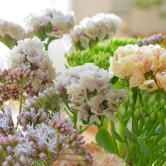 写真付きレビュー 生花 セダム グリーン 時期により花穂の大きさ色異なる 40cm程度 Ot 5本 届日限定 8 23以降の通販商品 口コミ情報 Roomclipショッピング