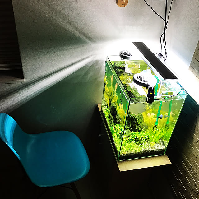 写真付きレビュー テトラ ダブルクールファン Cf 60w New 水槽の水温上昇対策に 水槽 ファン 冷却用ファン 保冷器具の通販商品 口コミ情報 Roomclipショッピング