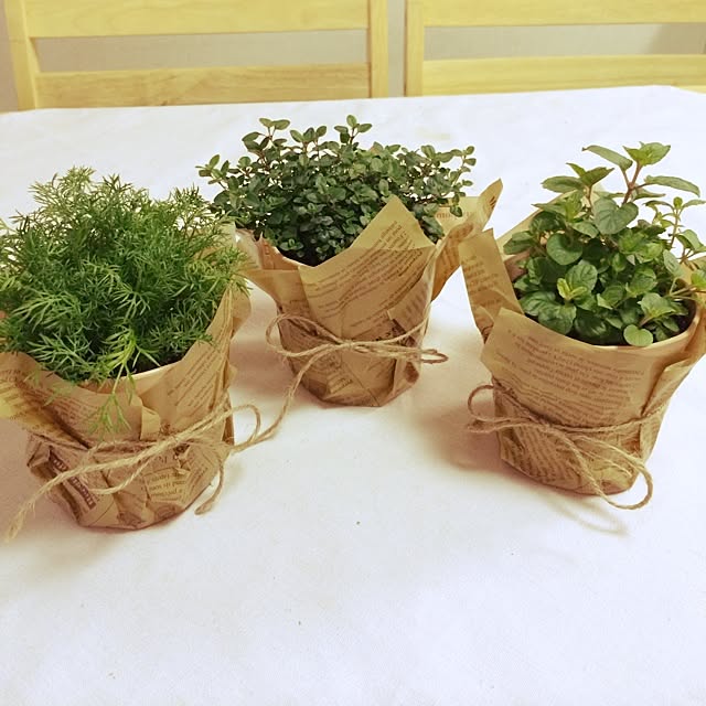 キッチン/植物/ハーブのインテリア実例 - 2014-03-17 08:11:25