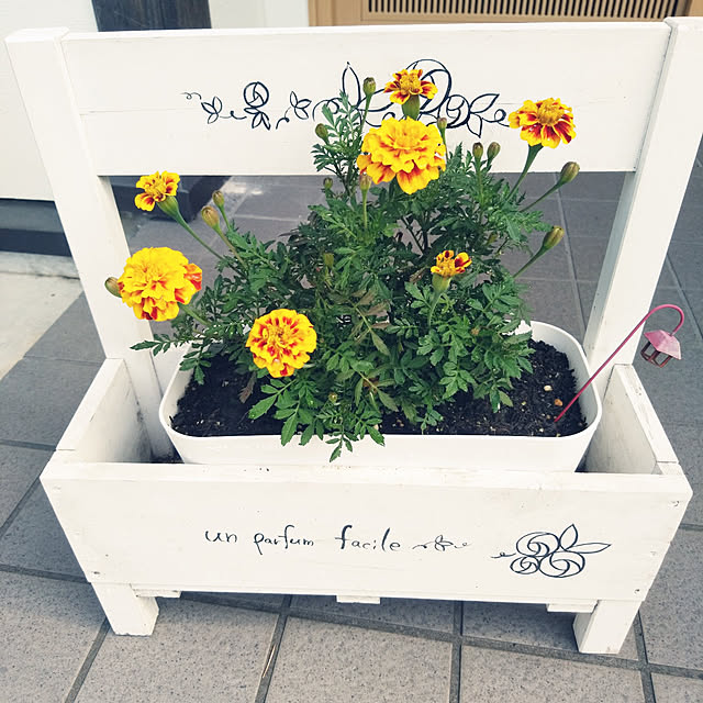 ローズシェールs 寄せ植え 木製プランター 国産品 鉢 おしゃれなガーデニングのレビュー クチコミとして参考になる投稿14枚 Roomclip ルームクリップ ローズシェールs 寄せ植え 木製プランター 国産品 鉢 おしゃれなガーデニングのレビュー クチコミとして参考になる投稿14枚 Roomclip ルームクリップ