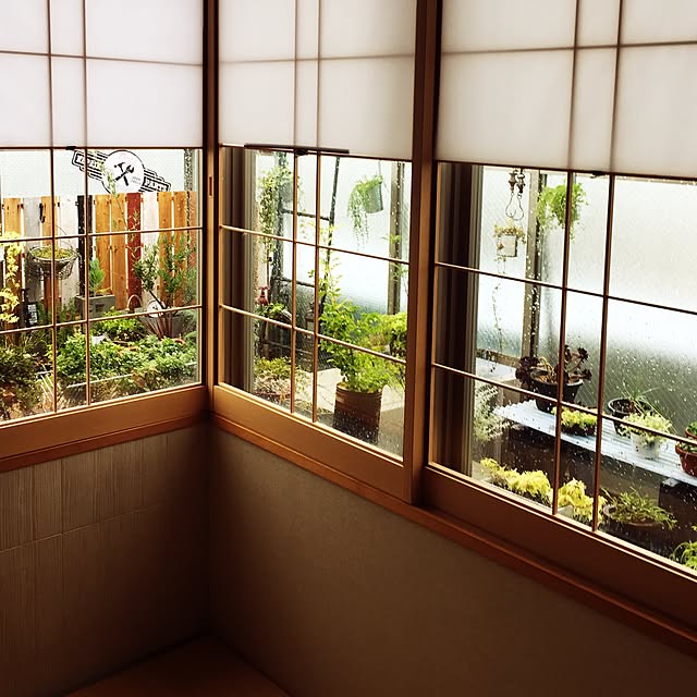 部屋全体/ルーフバルコニーマンション/ベランダ/NO GREEN NO LIFE/植物/ガーデニング多肉植物&hellip;などのインテリア実例