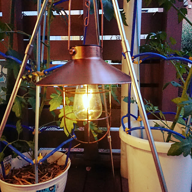 ランタン ソーラー ガーデンライト ソーラーライト 屋外 暖色 アンティーク 庭園灯 Ledランタン 電球 自動点灯 防水 飾り用 吊り下げ式 庭 玄関先 ガーデン ベランダ 車道 歩道 ブロンズ 1 のレビュー クチコミとして参考になる投稿2枚 Roomclipショッピング