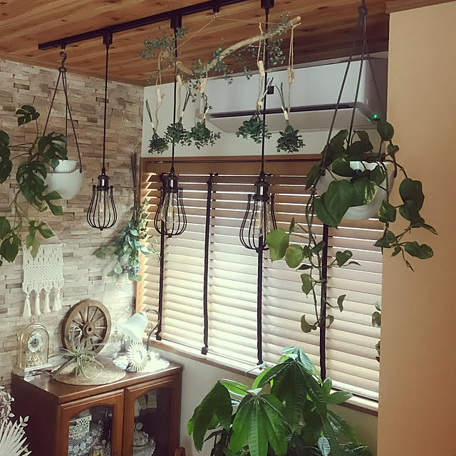 ダクトレール専用 吊り下げフック Duct Rail Hook ダクトレール用 ライティングレール用 配線ダクト用 ショップライン用 オフィス 書斎 ダイニング ボタニカル インダストリアル ブラック ホワイト モノトーン リノベーション ライティングツール 吊りフックのレビュー