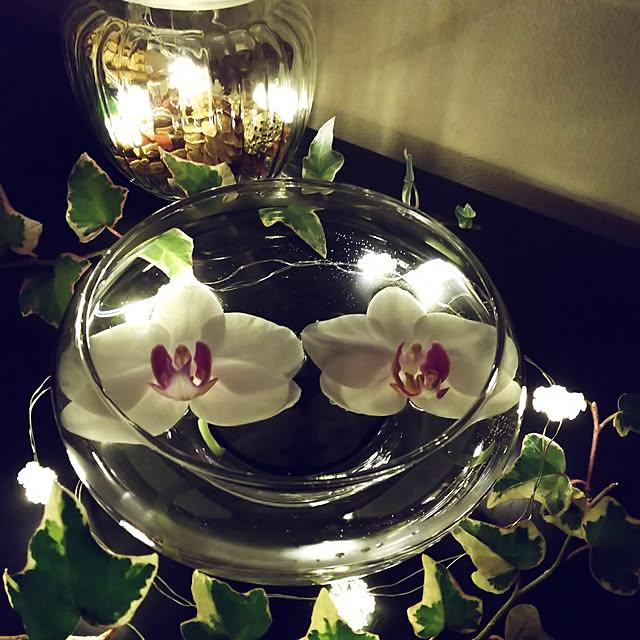 花瓶 フラワーベース 花びん 花器 ガラス花瓶 ガラスベース ガラス鉢 鉢 水鉢 ガラス製 おしゃれ 北欧 シンプル ナチュラル 丸型 浅いのレビュー クチコミとして参考になる投稿9枚 Roomclip ルームクリップ