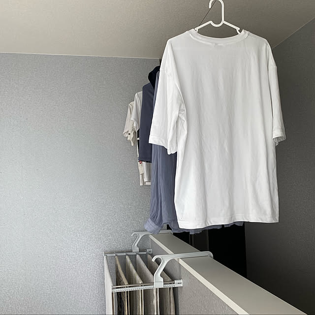 ニトリ ベランダハンガー ミル Lgy 玄関先迄納品 合計金額円以上送料無料対象商品 のレビュー 口コミとして参考になる投稿6枚