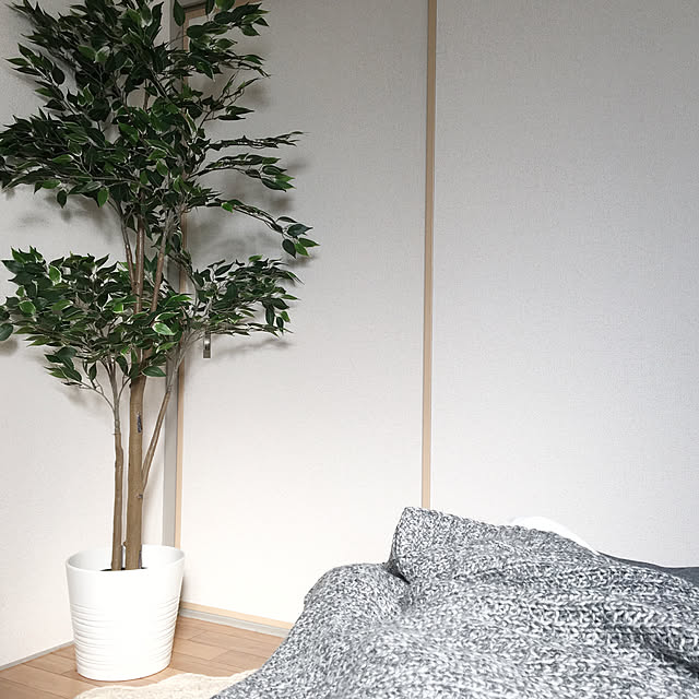 写真付きレビュー Ikea イケア 通販 Fejka フェイカ 人工観葉植物 ベンジャミン C の通販商品 口コミ情報 Roomclipショッピング