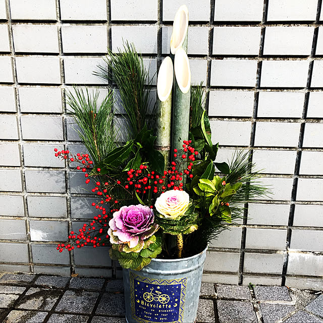 寄せ植え ミニ 葉牡丹 バラマキ ハボタン 専門店用苗 3 5号 多粒まきのレビュー クチコミとして参考になる投稿3枚 Roomclip ルームクリップ