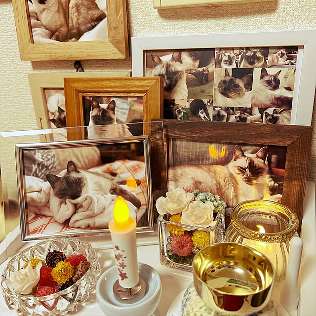 写真付きレビュー 特価10 オフ ペット仏具 電子式 Led ローソク 約10分の自動タイマー 電池式 ろうそくペット仏壇 ペット ローソク ろうそく 可愛い お供え お悔み 安全 かわいい お盆 お彼岸 命日 ペット仏具 電子式の通販商品 口コミ情報 Roomclipショッピング